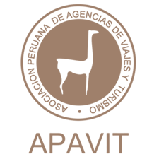 Apavit Logo